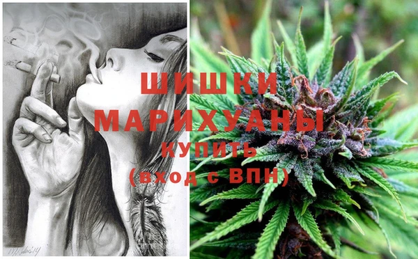 МДПВ Верея