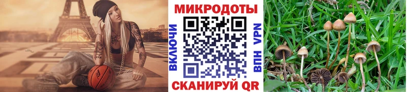 Псилоцибиновые грибы Magic Shrooms  Купить  Волхов 