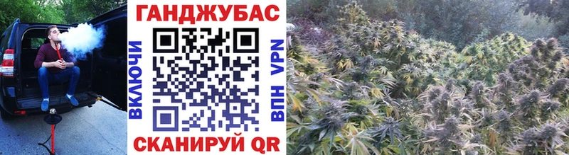 Бошки Шишки семена  Купить закладки  Волхов 